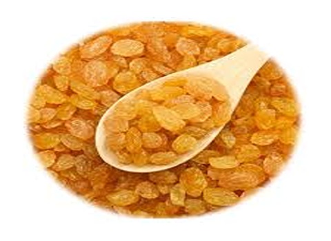 تصویر 1 از خرید و قیمت کشمش طلایی آفتابی + فروش عمده